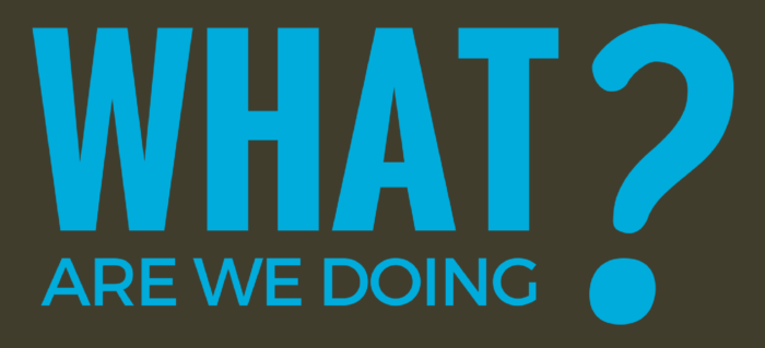 What We're Doing Now?